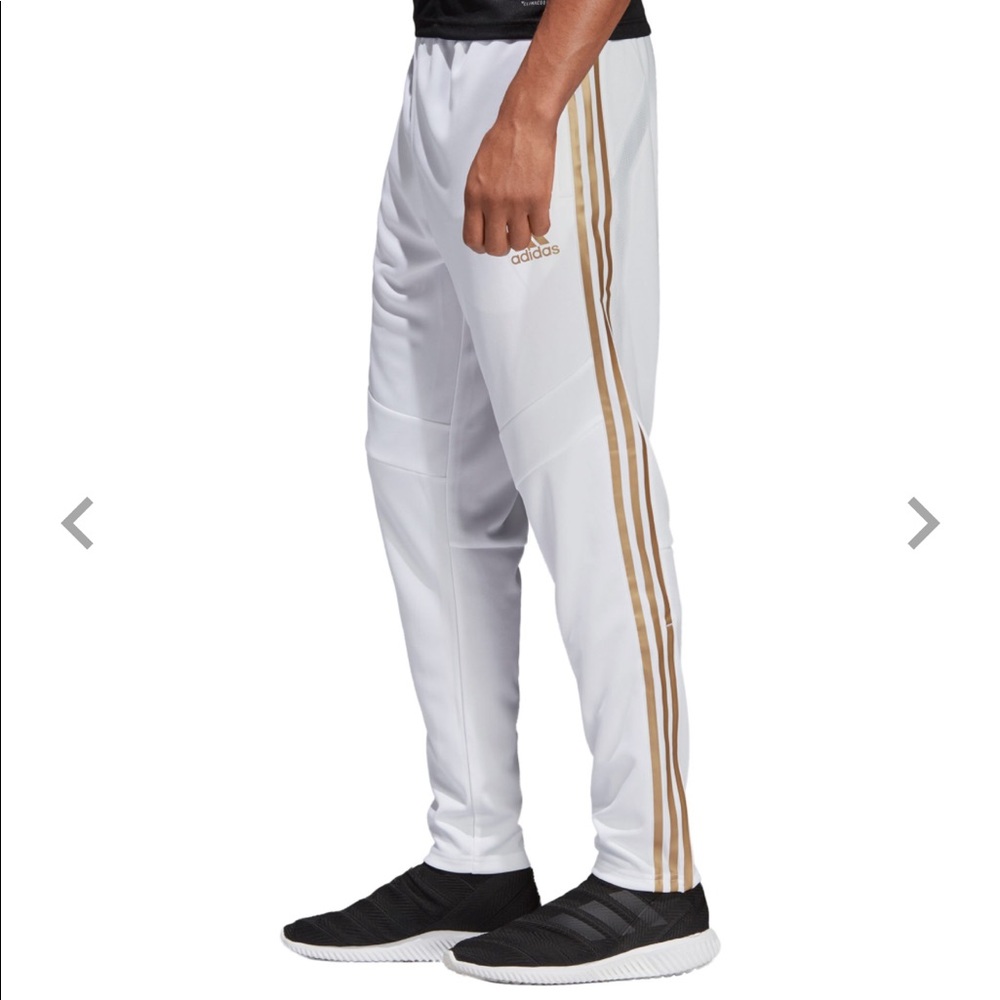 Brand New Adidas Men’s Metallic Tiro 19 Tr. Pants